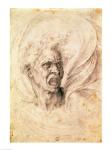 Study of a man shouting