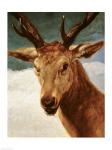 Head of a Stag, 1634