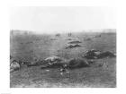 The Harvest of Death, Gettysburg, 1863