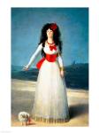 The Duchess of Alba, 1795