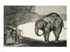 Folly of Beasts, from the Follies series