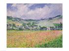 The Poppy Field near Giverny, 1885