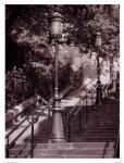 Les Escaliers De Montmartre