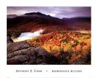 Adirondack Autumn