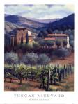 Tuscan Vineyard