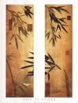 Bamboo Impressions II
