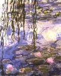 Waterlilies