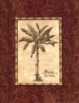 Red Passion Palm II