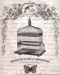 French Birdcage II - mini