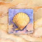 Scallop