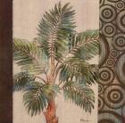 Parlor Palm II