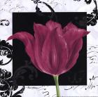 Damask Tulip IV