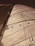 Windward Sail I