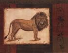 Savanna Lion