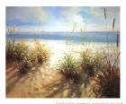 Across the Dunes