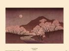 Cherry Blossoms
