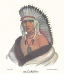 A Pawnee Brave