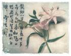 Oriental Lily