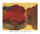 The Lowland Tree