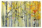 Autumn Birches