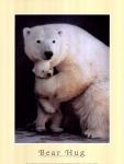 Bear Hug