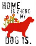 Home Is Where My Dog Is