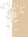 Reeds II