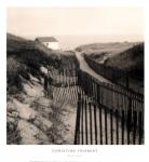 Dune Fence