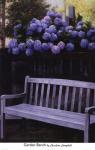 Garden Bench