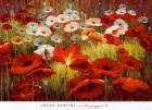 Meadow Poppies II