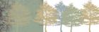 A Whisper Through the Trees (12x36"")