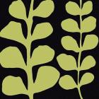 Green Fern on Black