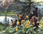 Basking in the Balsams