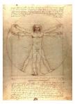 Vitruvian Man