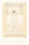 The Vitruvian Man