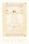 The Vitruvian Man