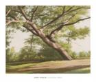 Leaning Tree, 2003