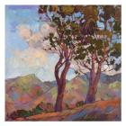 Catalina Hills