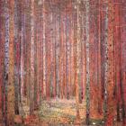 Tannenwald I