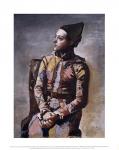 Portrait of a Harlequin