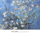 Almond Blossom, 1890