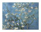 Almond Blossom, 1890