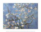 Almond Blossom, 1890