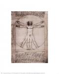Leonardo Da Vinci - Vitruvian Man, 1492 Size 5x7