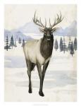 Alaskan Wilderness II
