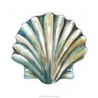 Aquarelle Shells VI