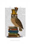 Owl On Books