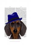 Dachshund With Blue Trilby