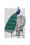 Peacock on Chair