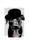 Black Labrador in Bowler Hat